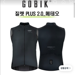 고빅 질렛