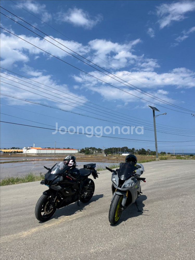 zx10r--1