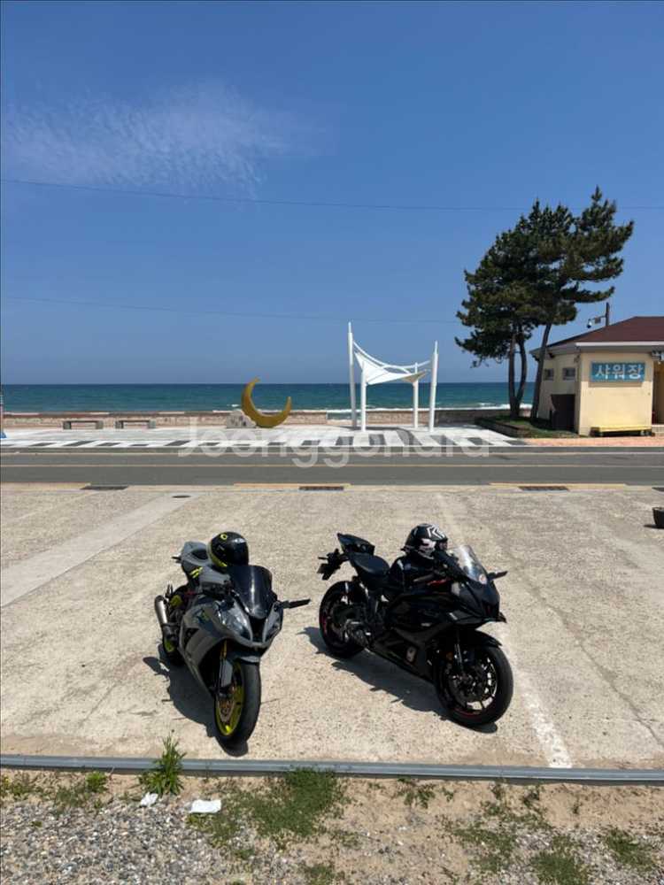 zx10r--2
