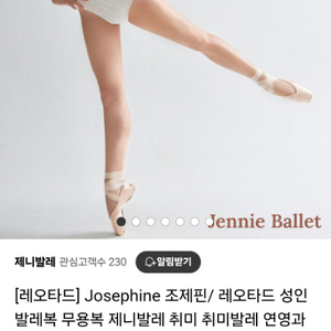 레오타드 제니발레 조제핀 성인발레복 s