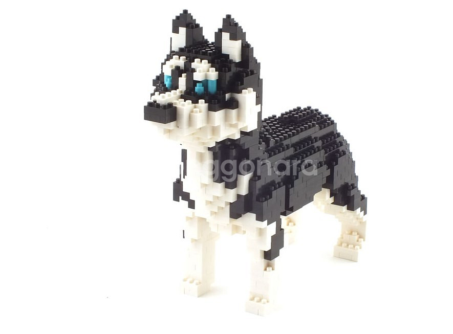 Husky 허스키 동물블럭 (미니블럭)--3