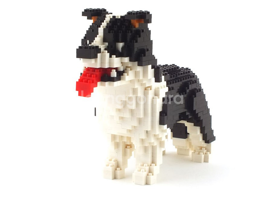 Border Collie 보더콜리 동물블럭 (미니블럭)--3