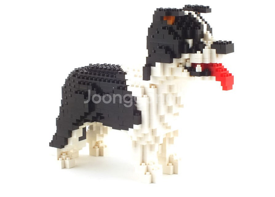 Border Collie 보더콜리 동물블럭 (미니블럭)--4