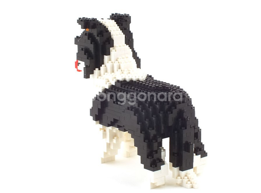Border Collie 보더콜리 동물블럭 (미니블럭)--5