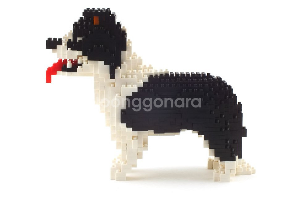 Border Collie 보더콜리 동물블럭 (미니블럭)--6