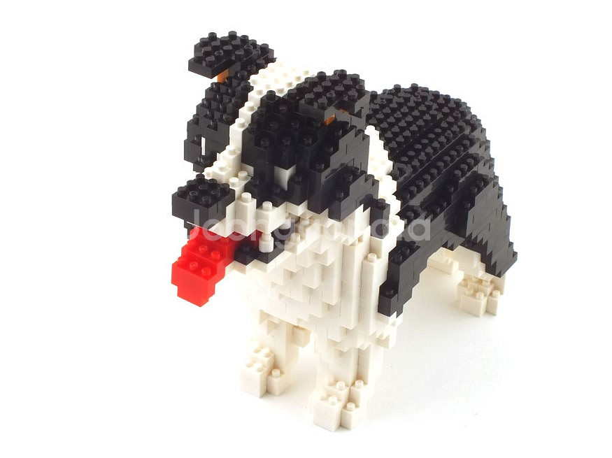 Border Collie 보더콜리 동물블럭 (미니블럭)--7