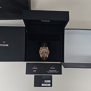 TUDOR BLACK BAY BRONZE