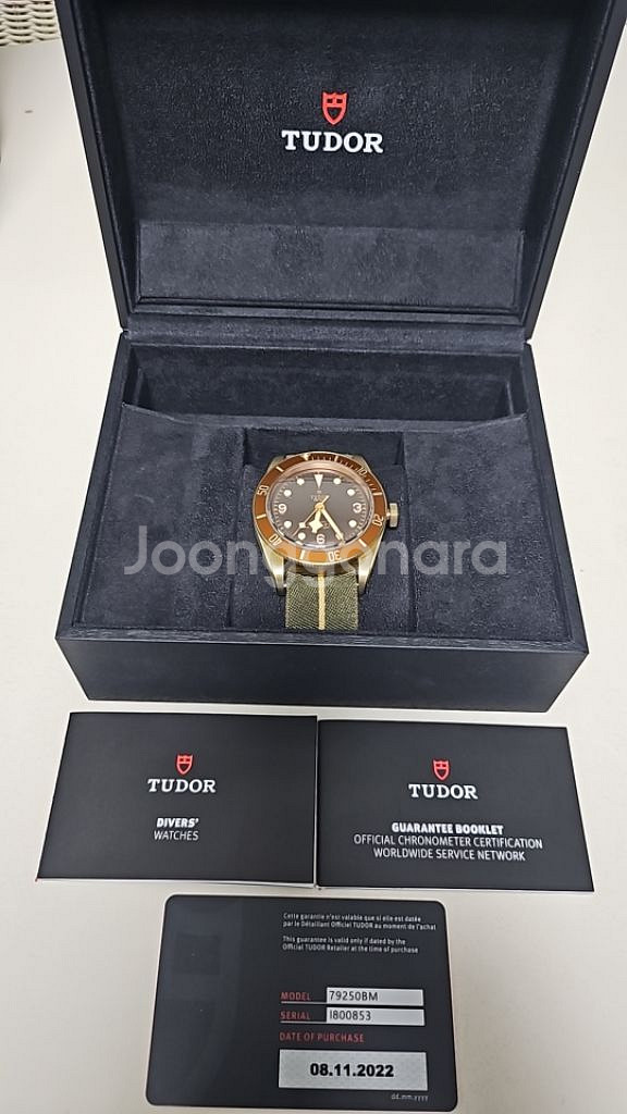 TUDOR BLACK BAY BRONZE--1