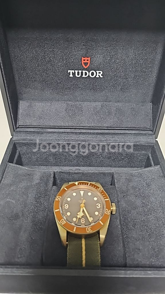 TUDOR BLACK BAY BRONZE--2
