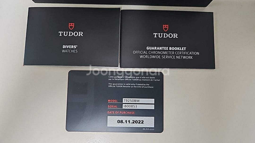 TUDOR BLACK BAY BRONZE--3