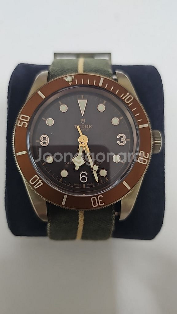 TUDOR BLACK BAY BRONZE--4