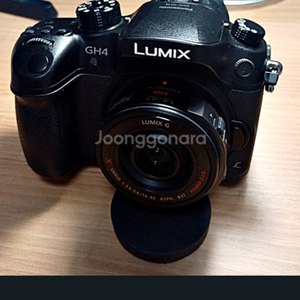 파나소닉 루믹스 DMC-GH4 바디