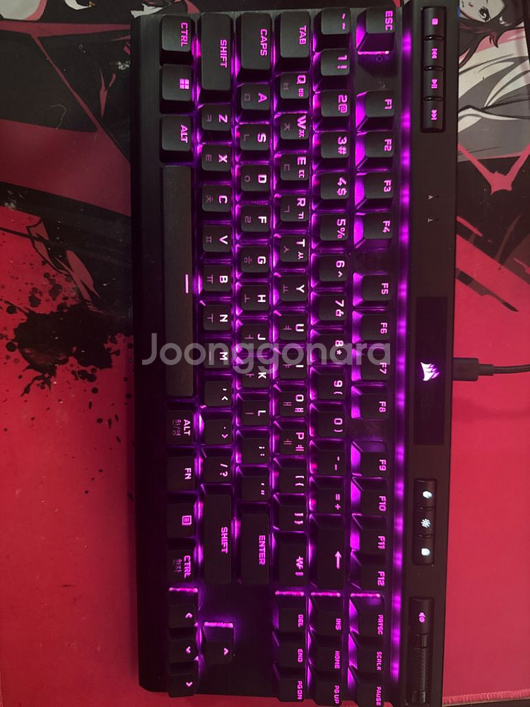 커세어 k70 rgb pro 기계식 게이밍 키보드--0