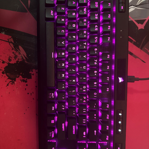 커세어 k70 rgb pro 기계식 게이밍 키보드