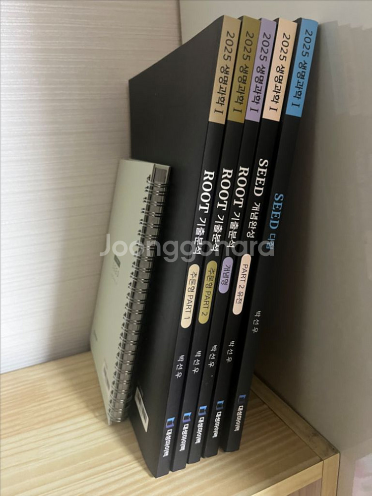 대성 박선우 2025 생명 seed root 개념 기출--0