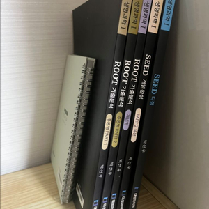 대성 박선우 2025 생명 seed root 개념 기출