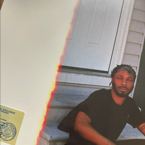 제이팩 마피아 jpegmafia lp 택포