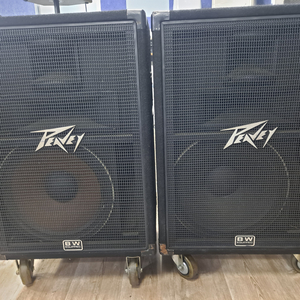 PEAVEY 115 / SP2G 스피커