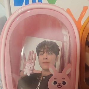 데이식스 클리어 플러시 파우치필