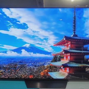 LG65인치OLEDTV