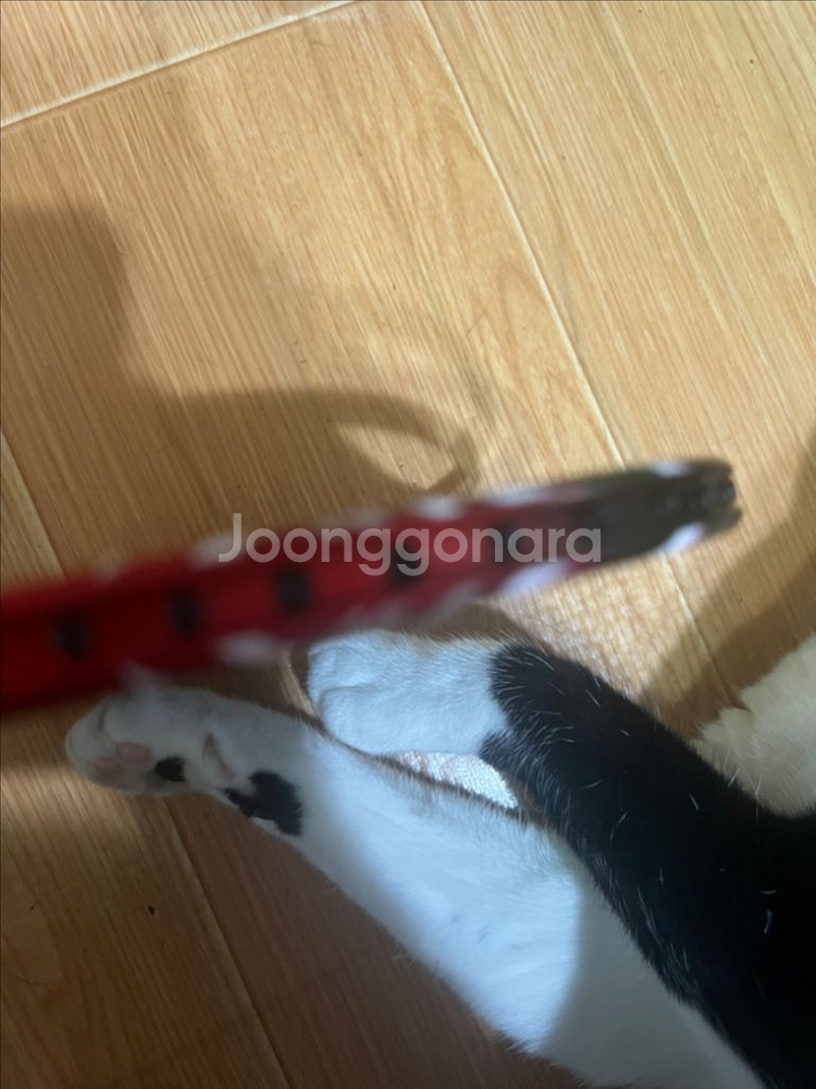 라인업 배드민턴 라켓--2