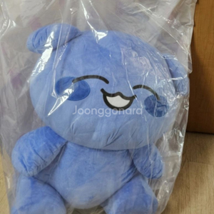 파댕이 인형팝니다!