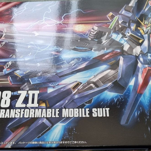 hg z2