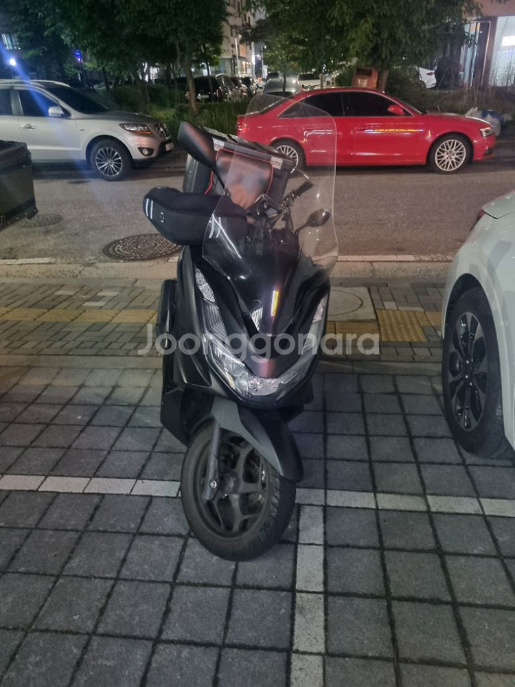pcx125 2024--1