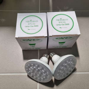 퓨처그린 식물등