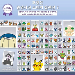 포켓몬 증명사진 기라티나 라인