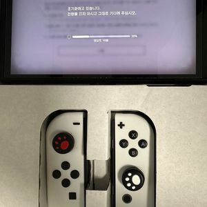 닌텐도 스위치 OLED