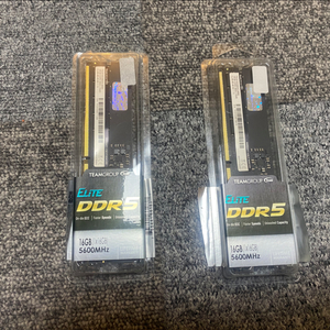 TEAMGROUP DDR5 16GB 5600MHz 2개