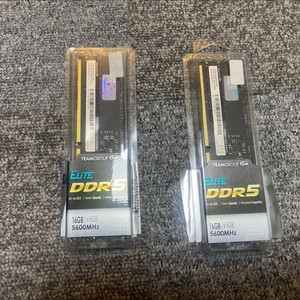 TEAMGROUP DDR5 16GB 5600MHz 2개
