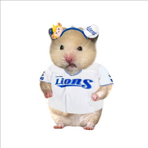 17일 클래식 DH 2차전 롯데 삼성 3루 내야 4연석