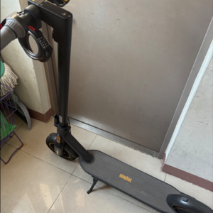 나인봇 맥스 g30 전동킥보드