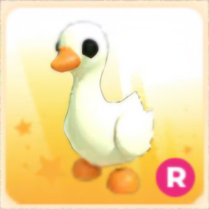 입양하세요 R 거위