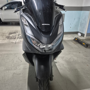 PCX125 24년식 판매합니다