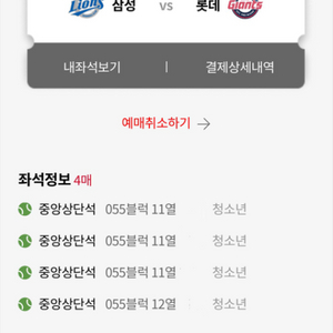 5월 17일 삼성vs롯데 티켓