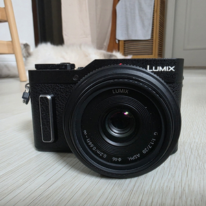 루믹스 GF10 축복 20mm F1.7 팝니다