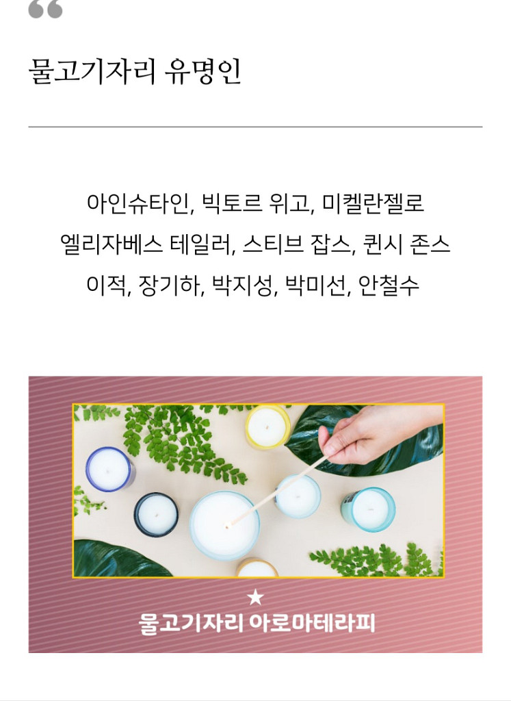 팝마트 푸키 별자리시리즈 ~물고기자리~미사용--8