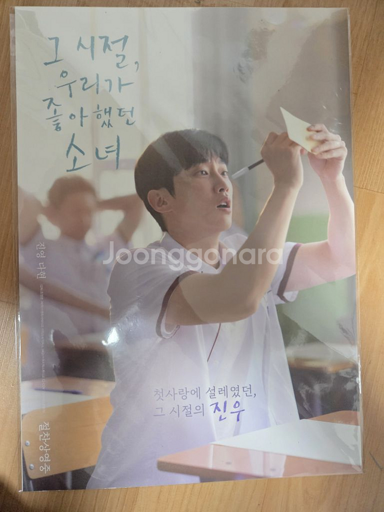 그 시절 우리가 좋아했던 소녀 포스터 2종--0