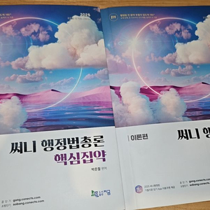 25년 써니 핵심집약