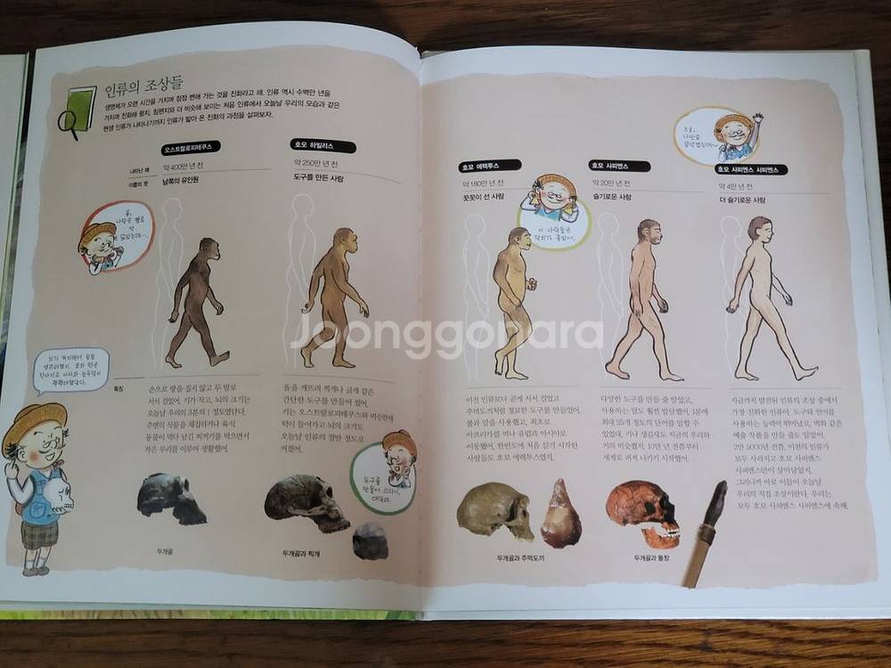 으랏차차이야기세계사 50권 그레이트북스--5