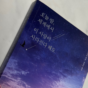 오늘 밤, 세계에서 이 사랑이 사라진다 해도 소설책