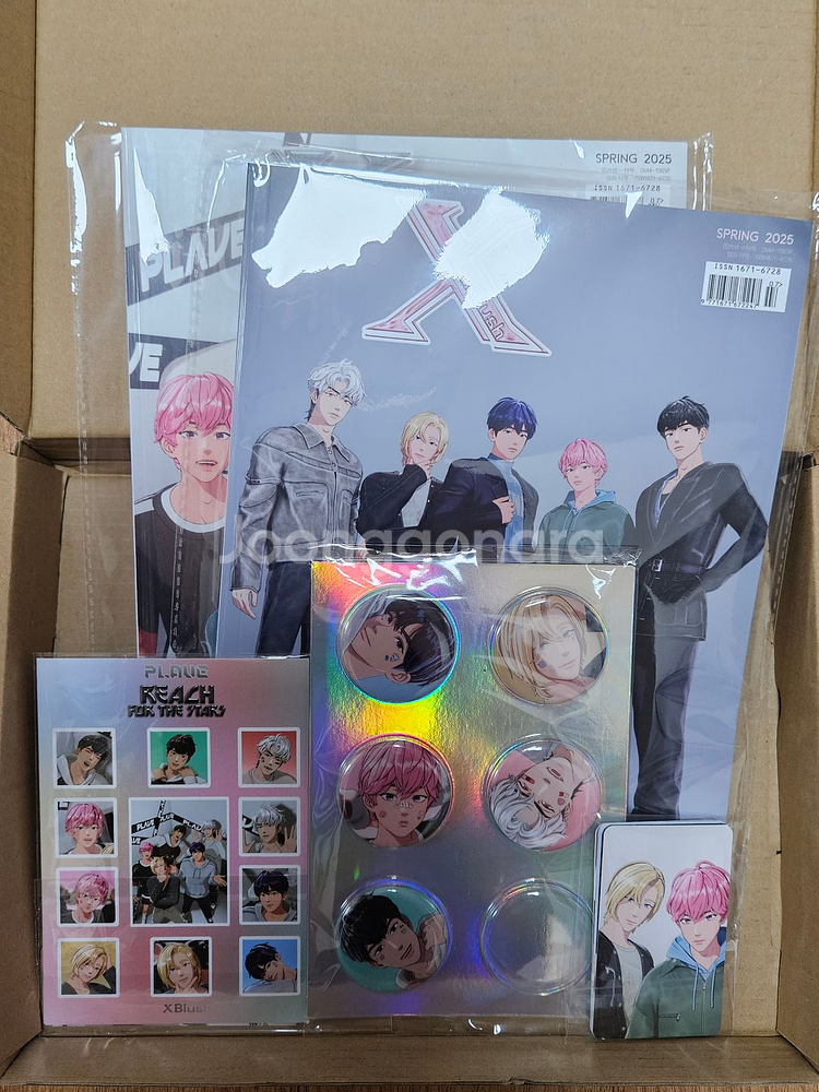 플레이브 XBlush C형 전구성 일괄--0