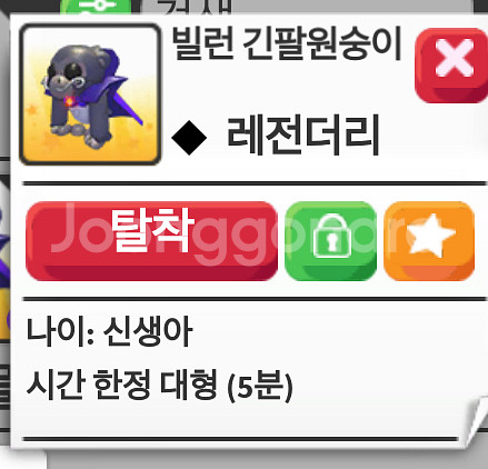 입양하세요 신규 펫. ㅍ--0