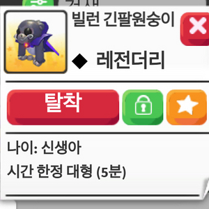 입양하세요 신규 펫. ㅍ