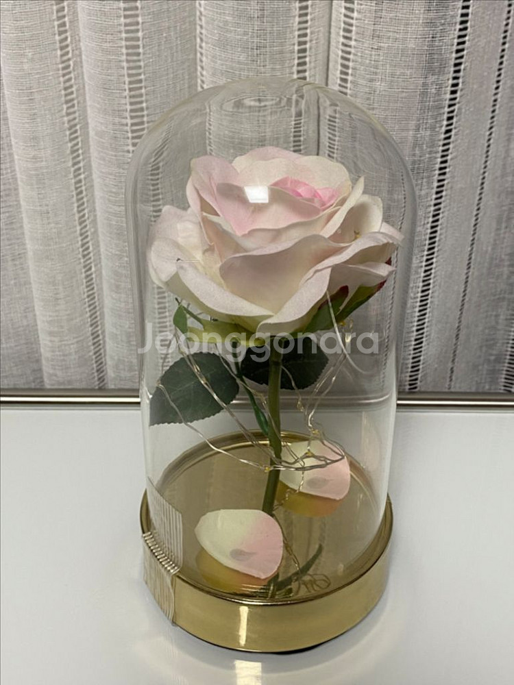 비아케이 로즈돔 조명 무드등--0