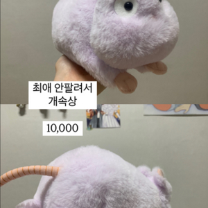 [처분] 지브리, 케로로, 슈가슈가룬, 마루코