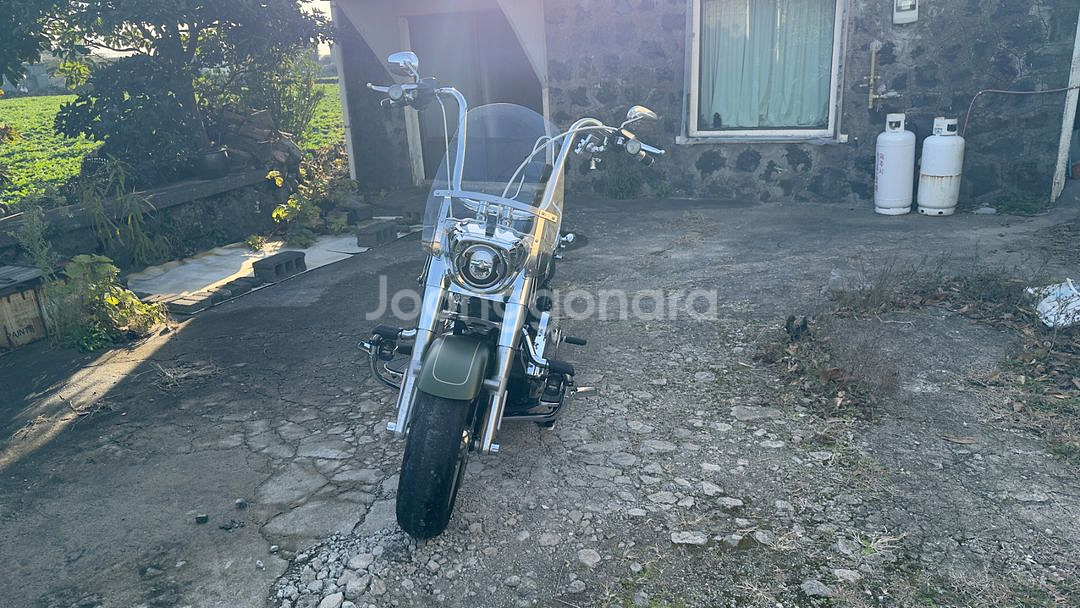 할리데이비슨 2022 팻보이 114 오토바이 바이크--3